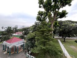 Blk 218 Ang Mo Kio Avenue 1 (Ang Mo Kio), HDB 3 Rooms #578084061